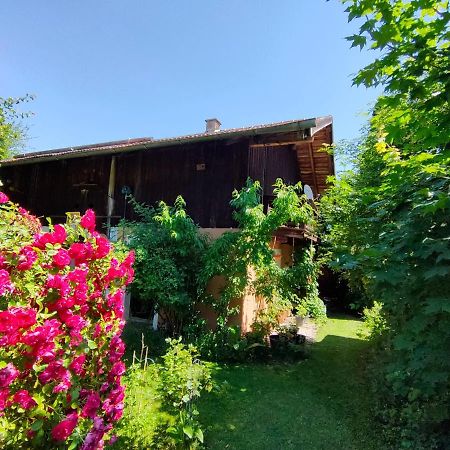 Gemuetliche Ferienwohnung Mit Kamin Und Garten Garmisch-Partenkirchen Esterno foto